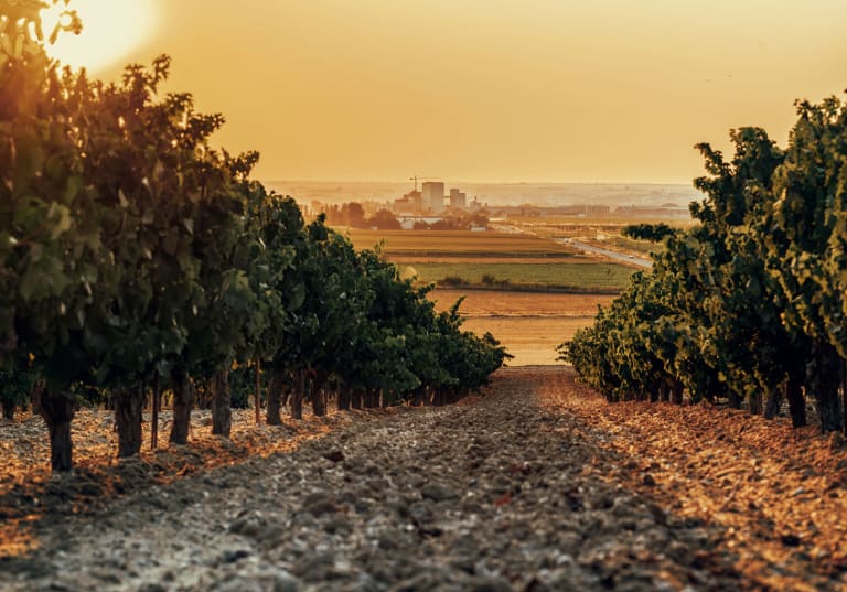 Toro, vinregion i Spanien.