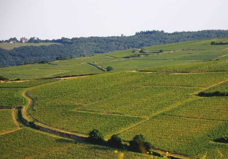 Vignerons des Terres Secrètes