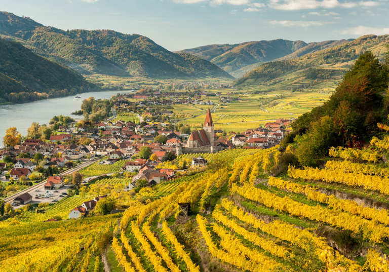 Vindistriktet Wachau i Österrike.