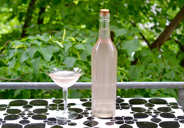 Rabarber-martini i flaska och glas och grönska i bakgrund