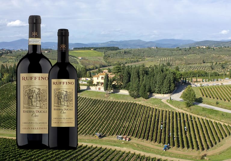 Riserva Ducale Oro magnum och vanlig storlek med vingård i bakgrund