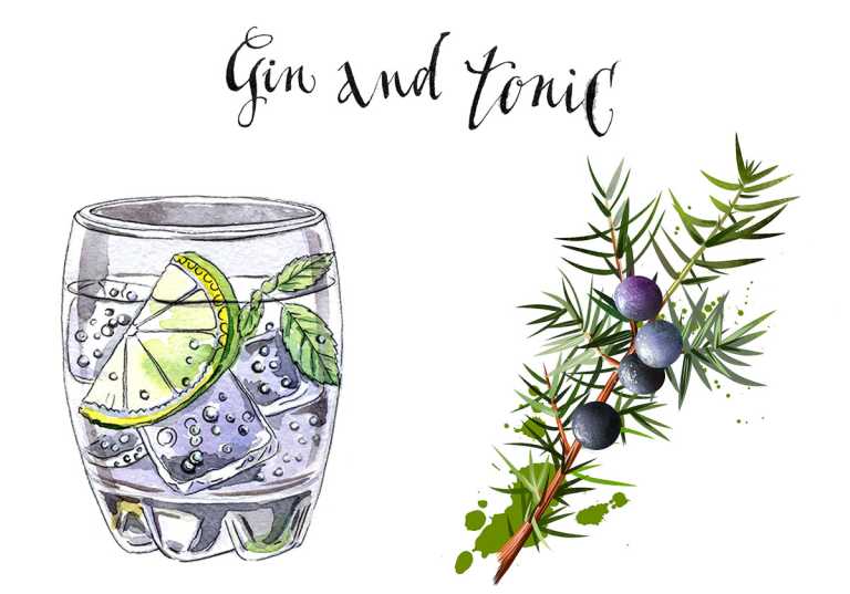Visste du det här om gin och tonic?