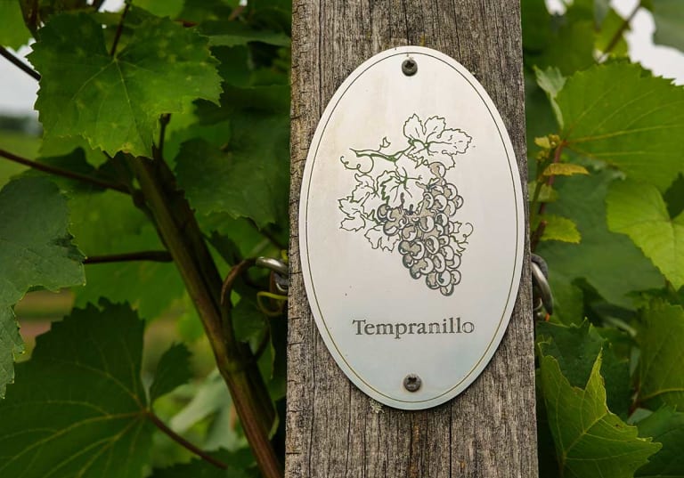 En skylt med ordet Tempranillo på en vingård.