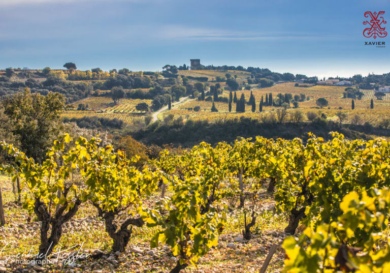 Xavier Vignon i Châteauneuf-du-Pape