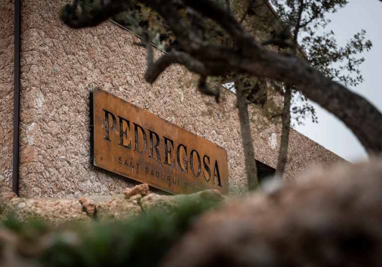 Castelo de Pedregosa
