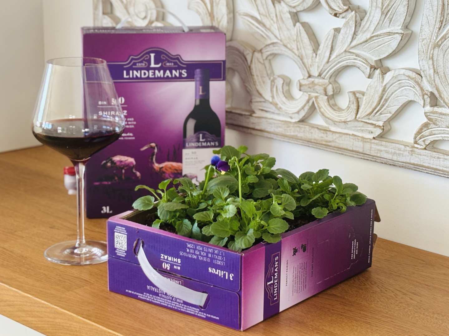 Lindemans_Shiraz_viinihana_ja_kukkaistutukset