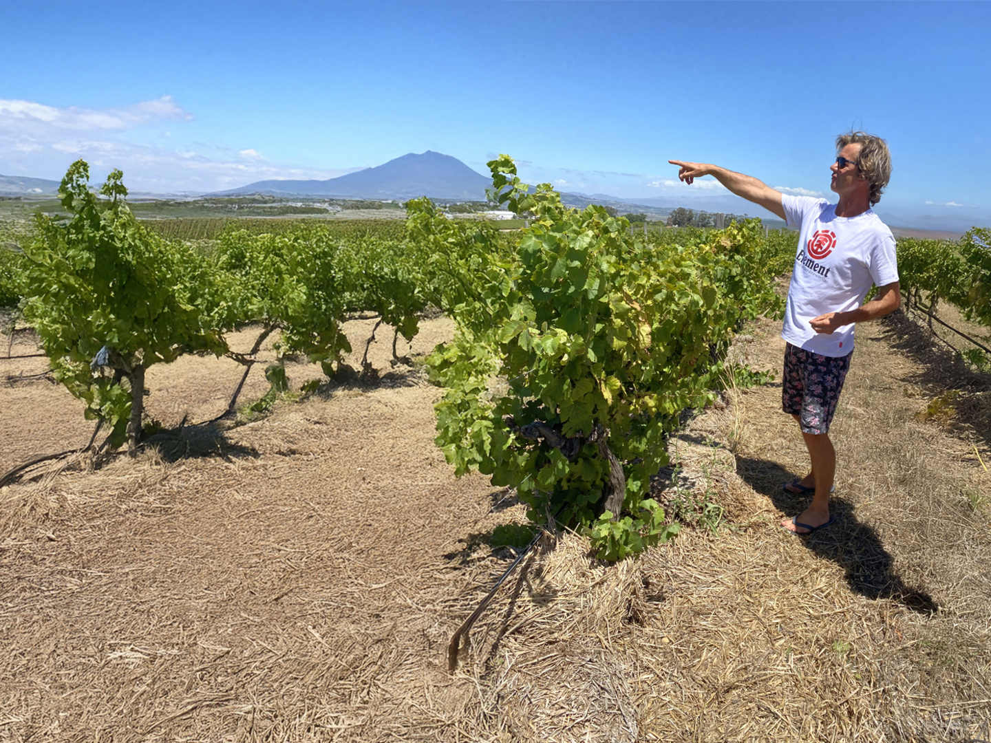 Reyneke Wines - biodynamiska viner från Stellenbosch | folk o folk