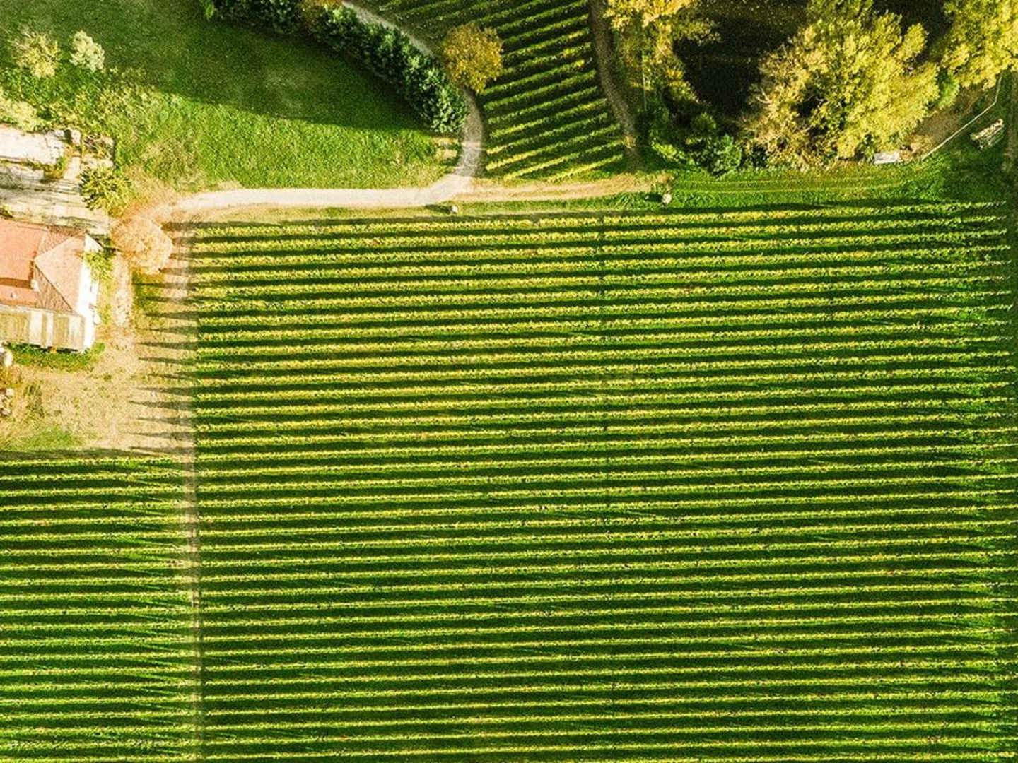 Abbazia di San Gaudenzio