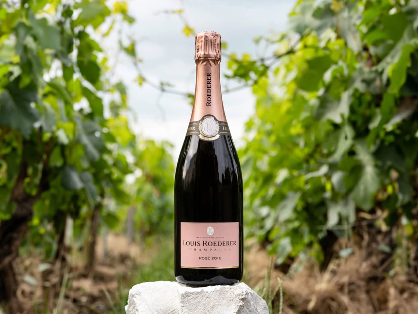 Louis Roederer, världens mest beundrade champagnehus.