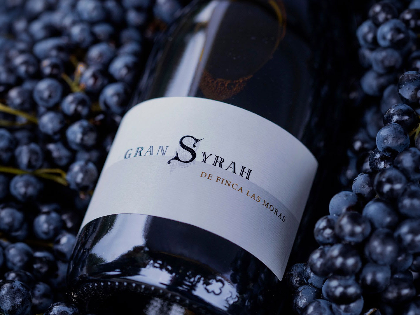 Las Moras Gran Syrah