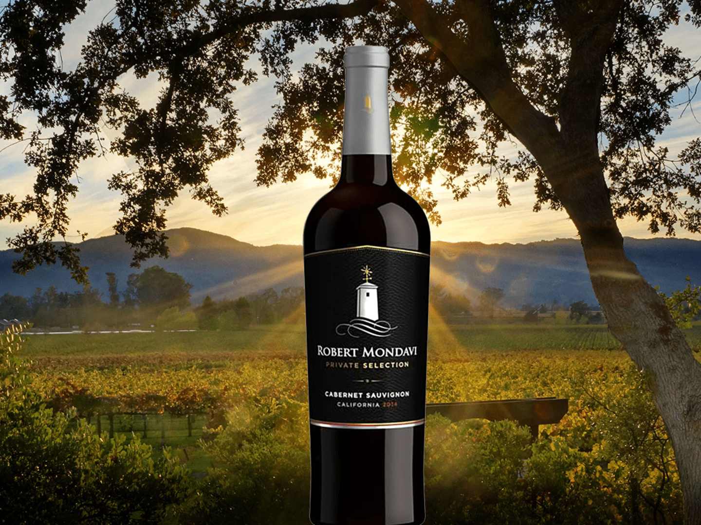 Vingård med vinflaska i förgrund