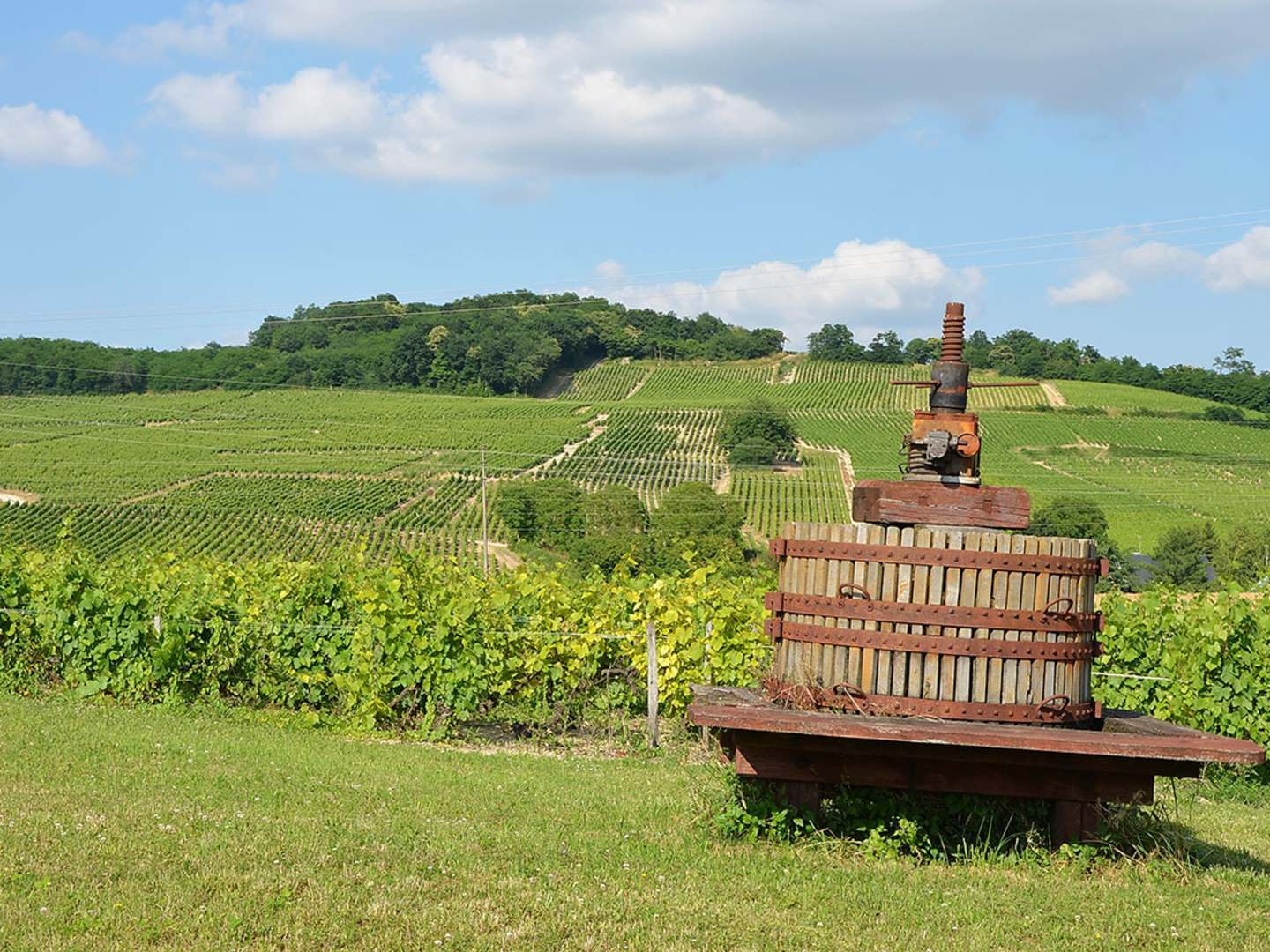 Vinpress på vingård