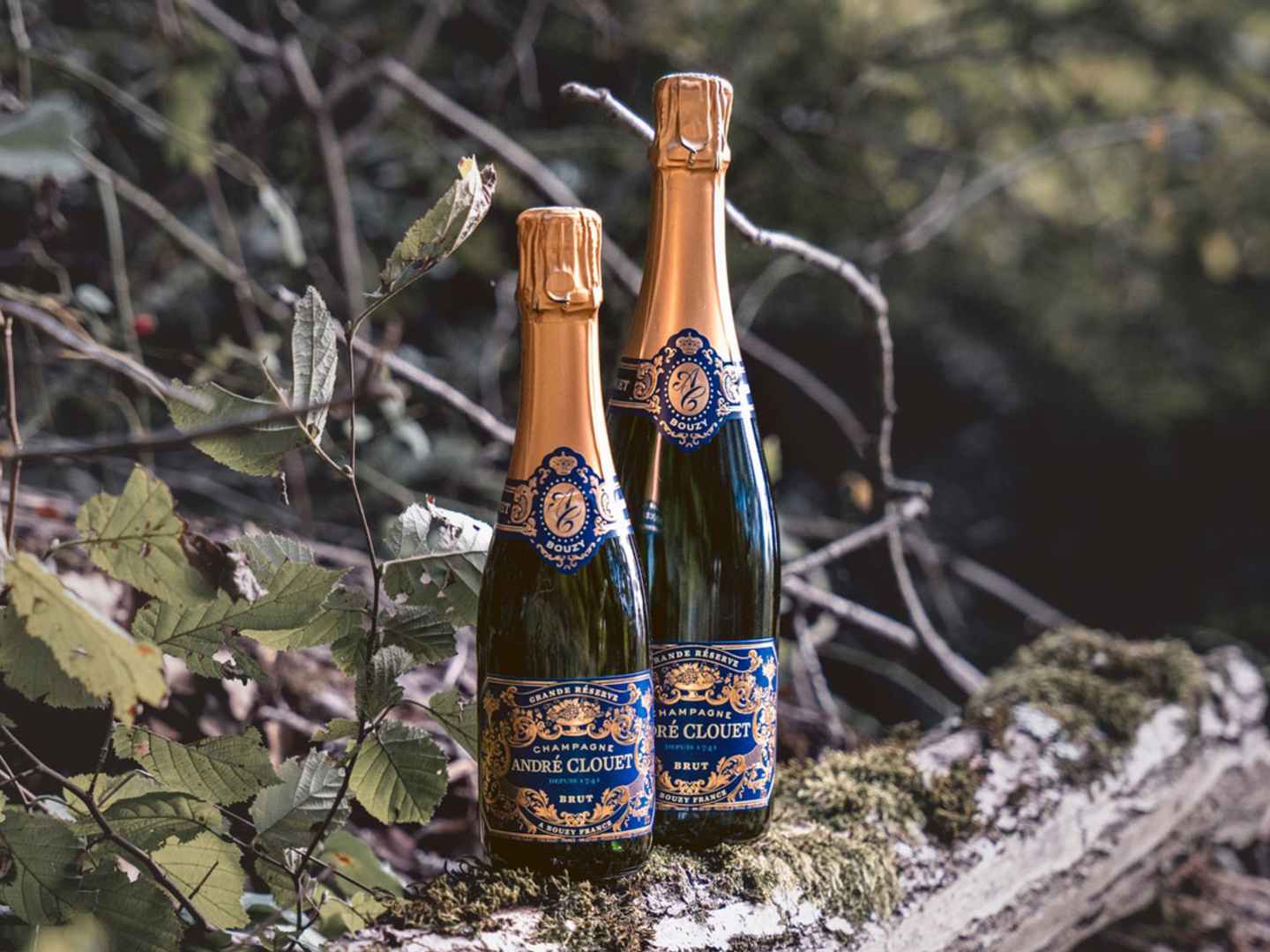 Champagneprovning i Göteborg med André Clouet.