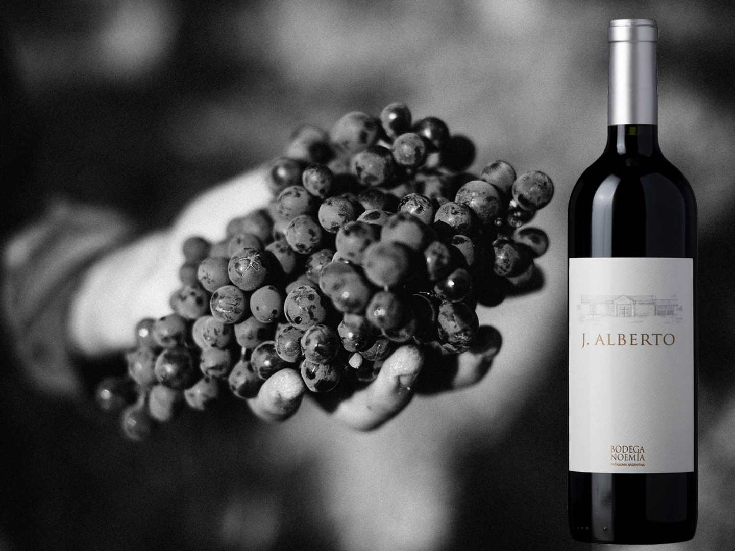 Bodega Noemia J Alberto Malbec