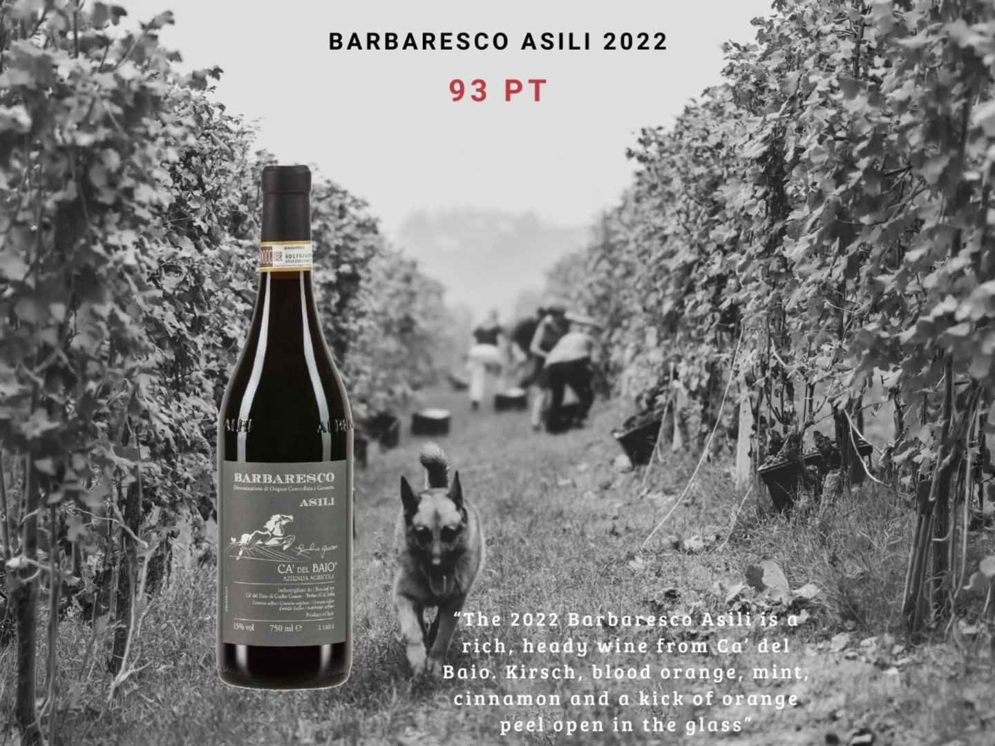Ca’ Del Baio Barbaresco Asili