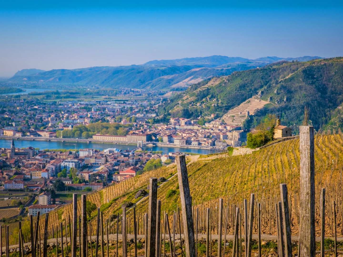 Côte du Rhône i Rhônedalen.