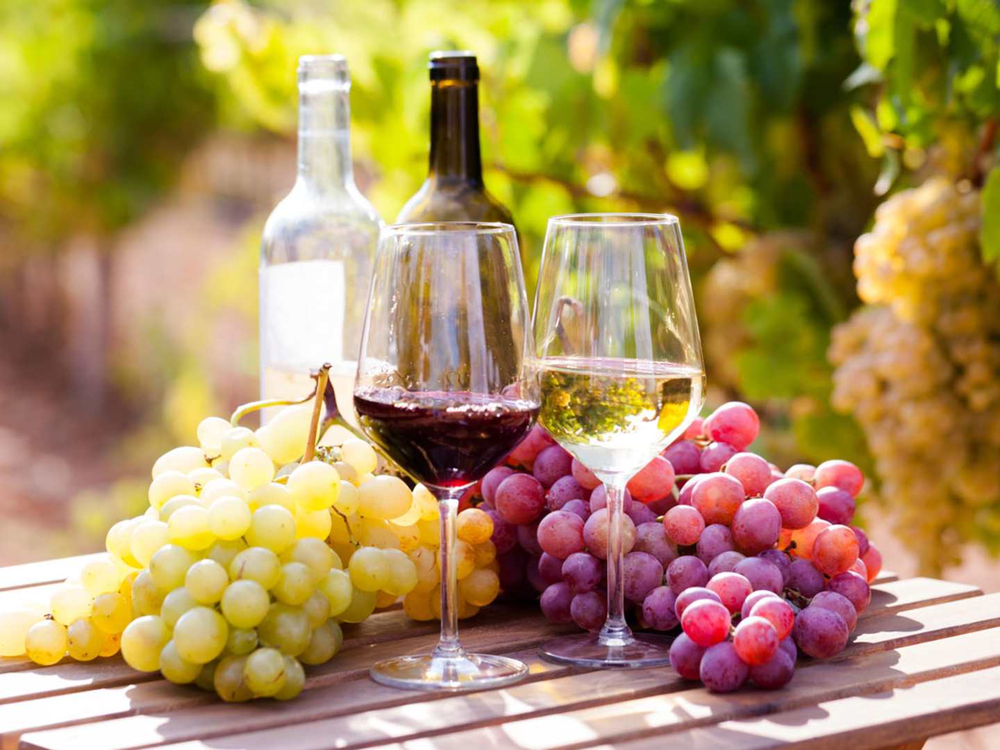 Lär dig mer om druvorna Criolla.