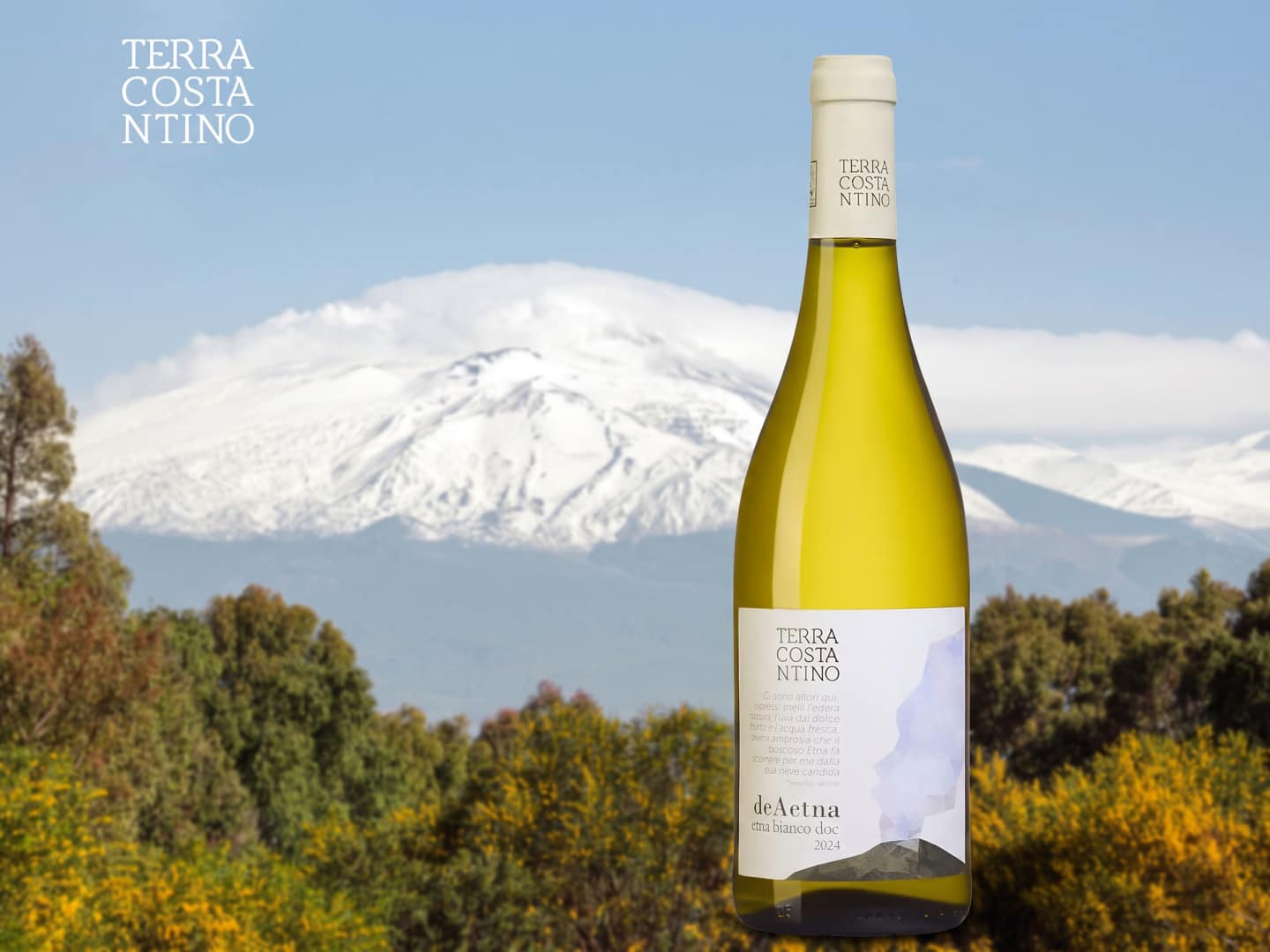 Terra Costantino DeAetna Bianco