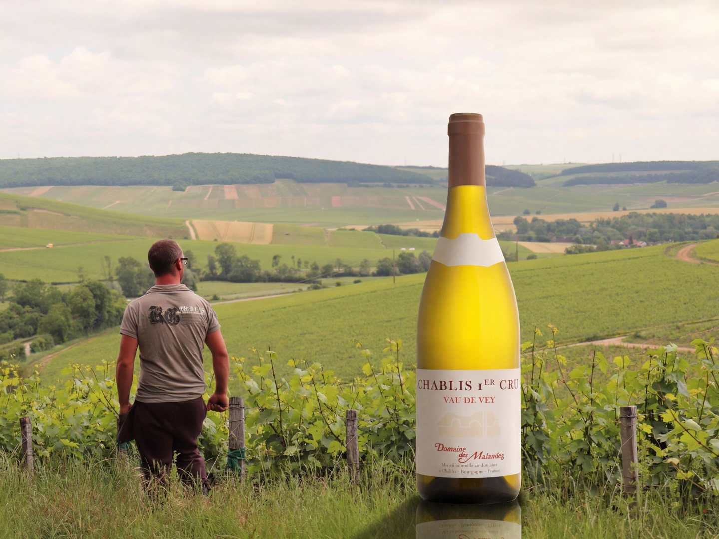 Domaine de Malandes Chablis Premier Cru Vau de Vey