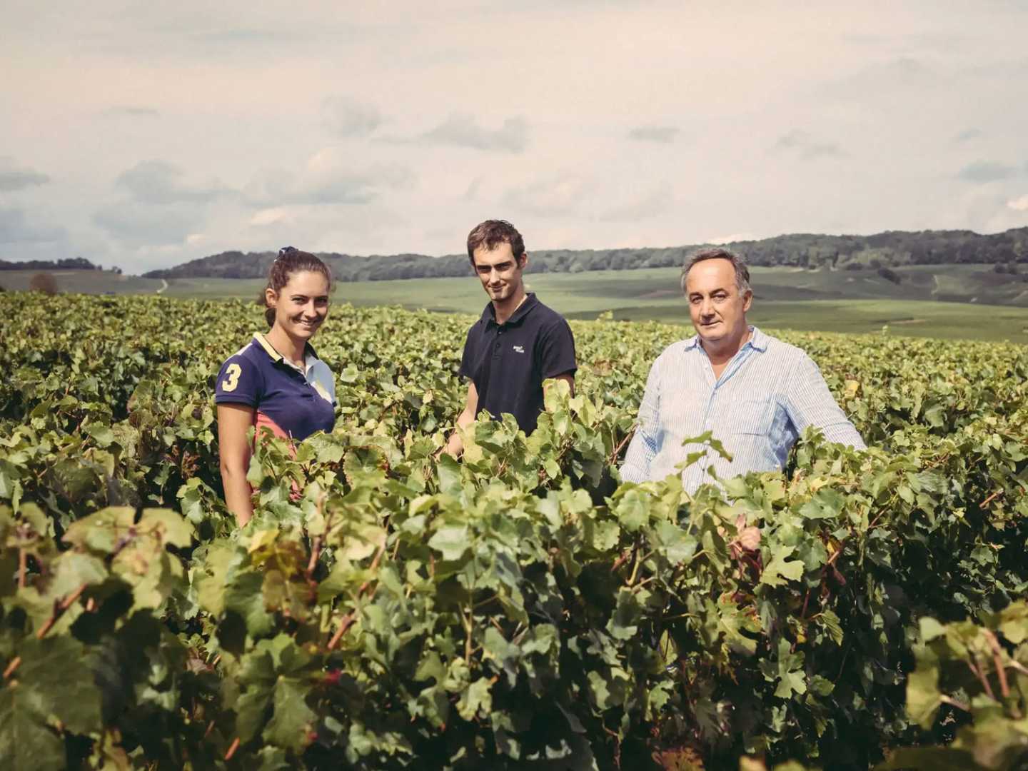 Champagne Egly-Ouriet