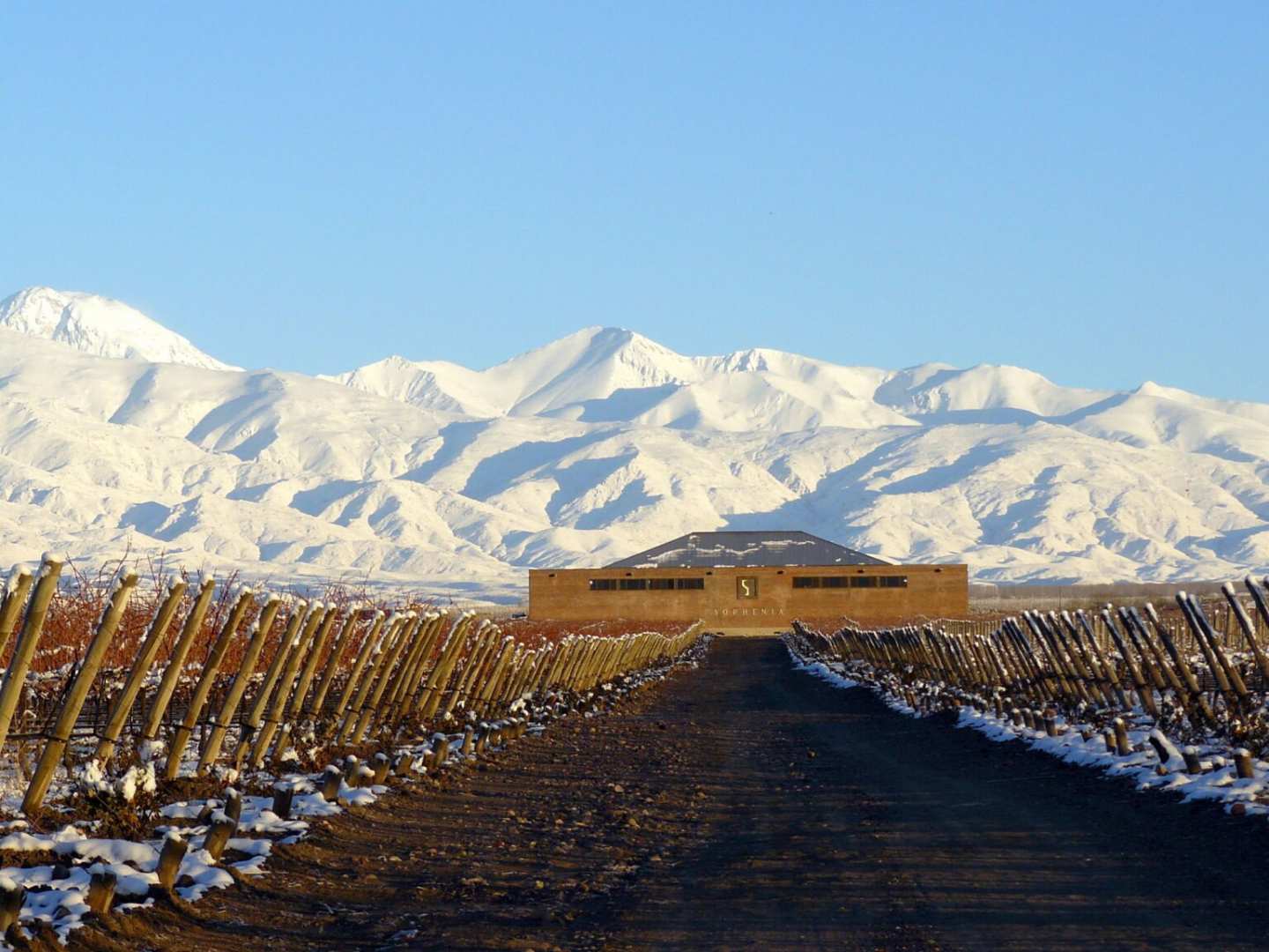 Finca Sophenia i Argentina
