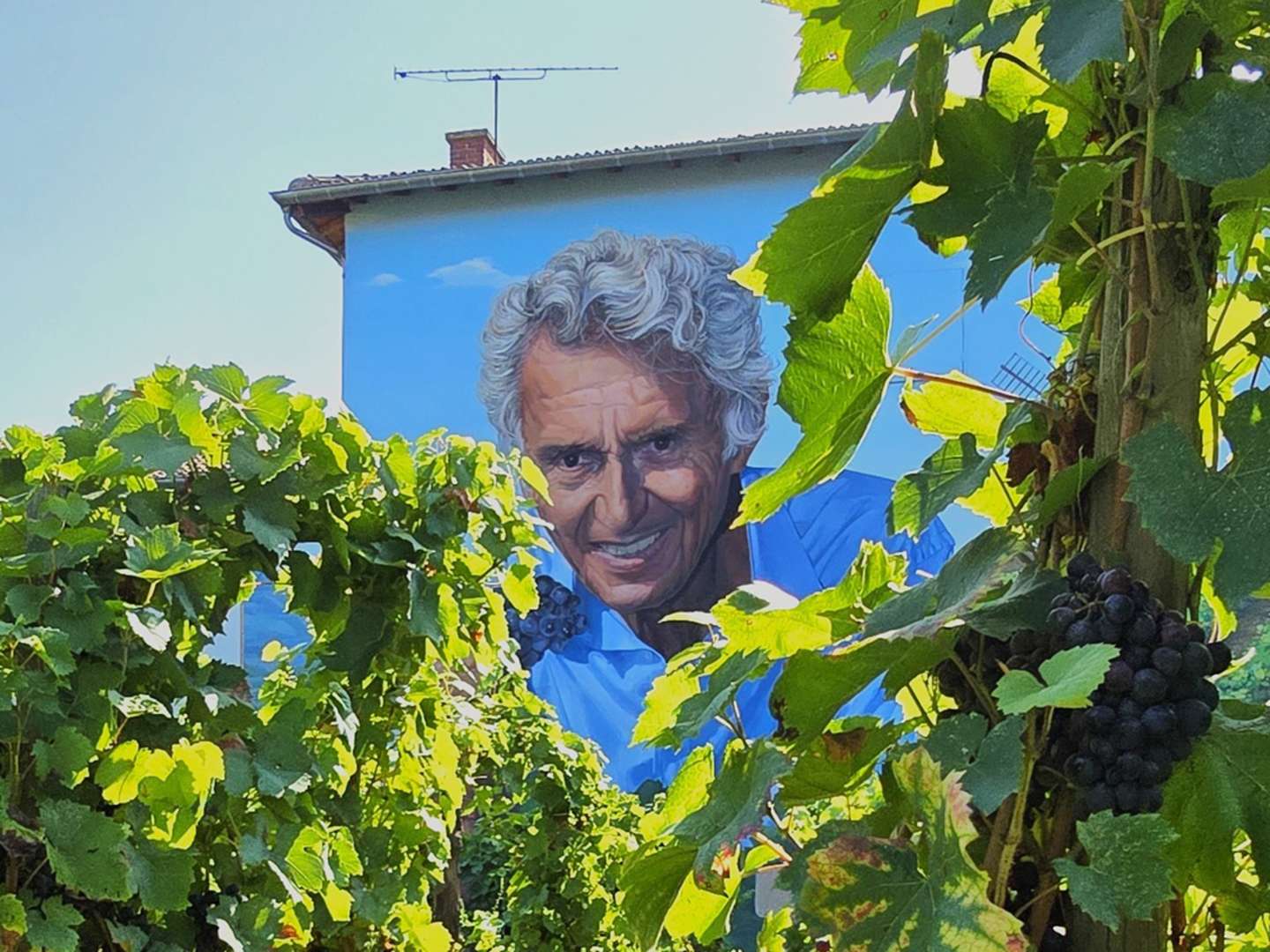 Georges Duboeuf i Beaujolais