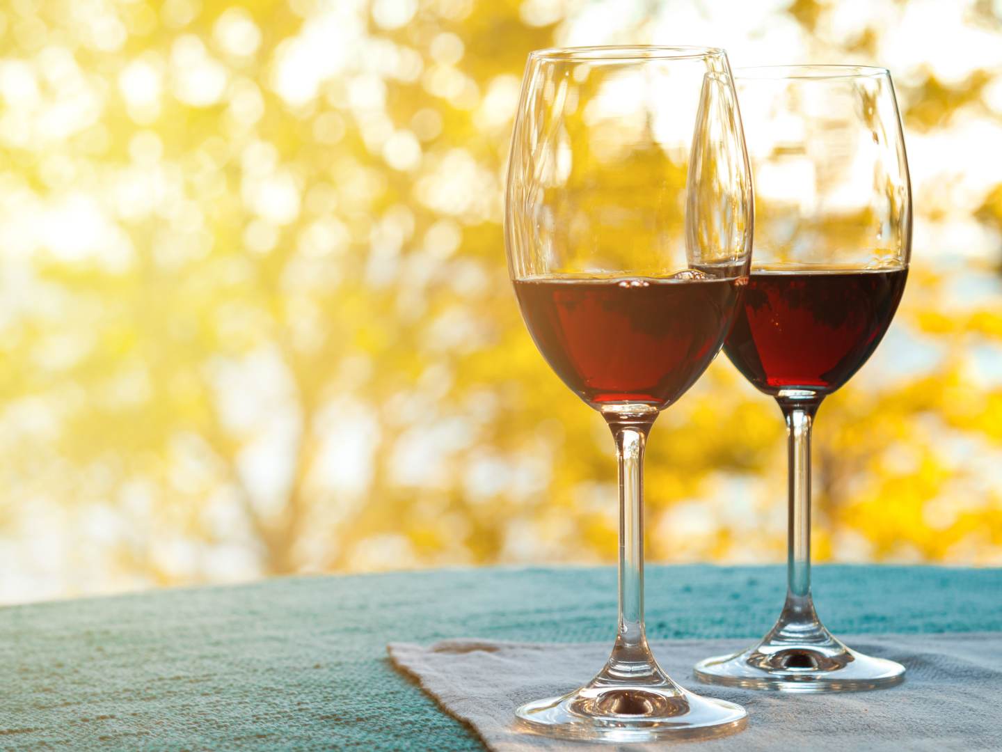 Bästa röda vinerna hösten 2024.