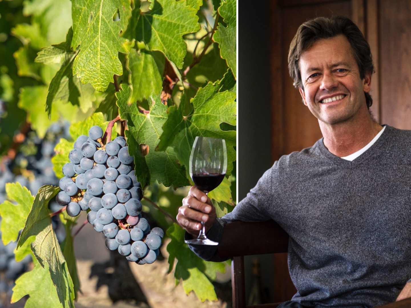 Johan Reyneke om regenerativt vinodlande.