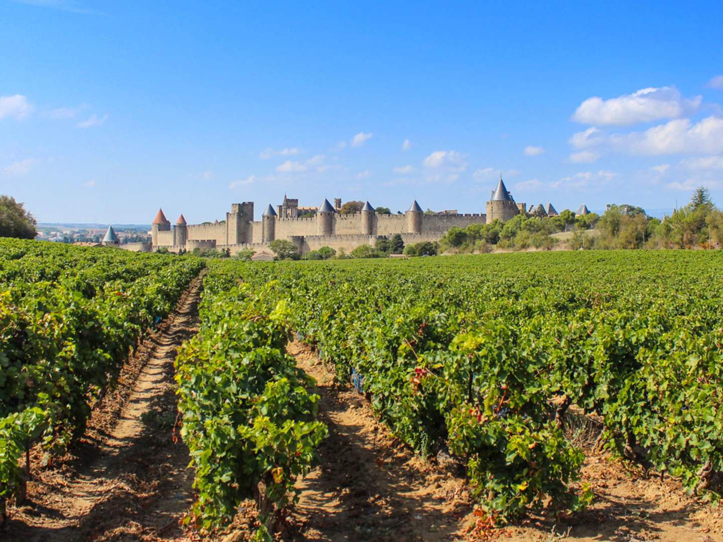 Vindistriktet Languedoc.