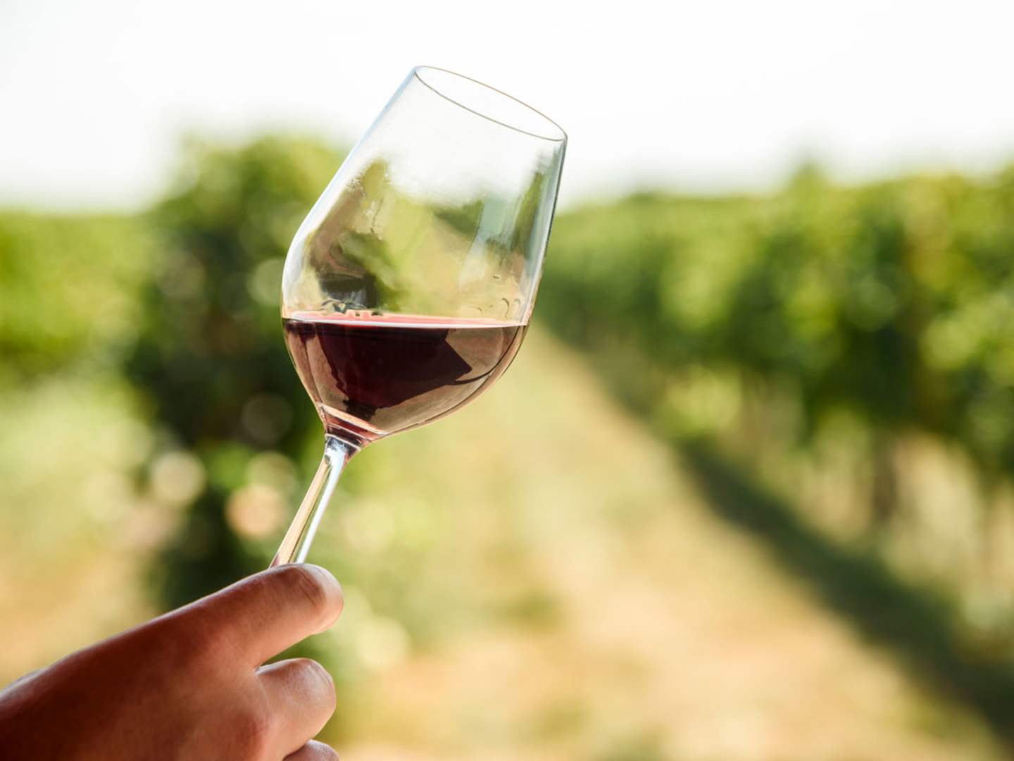 Vin från Lodi, Kalifornien.