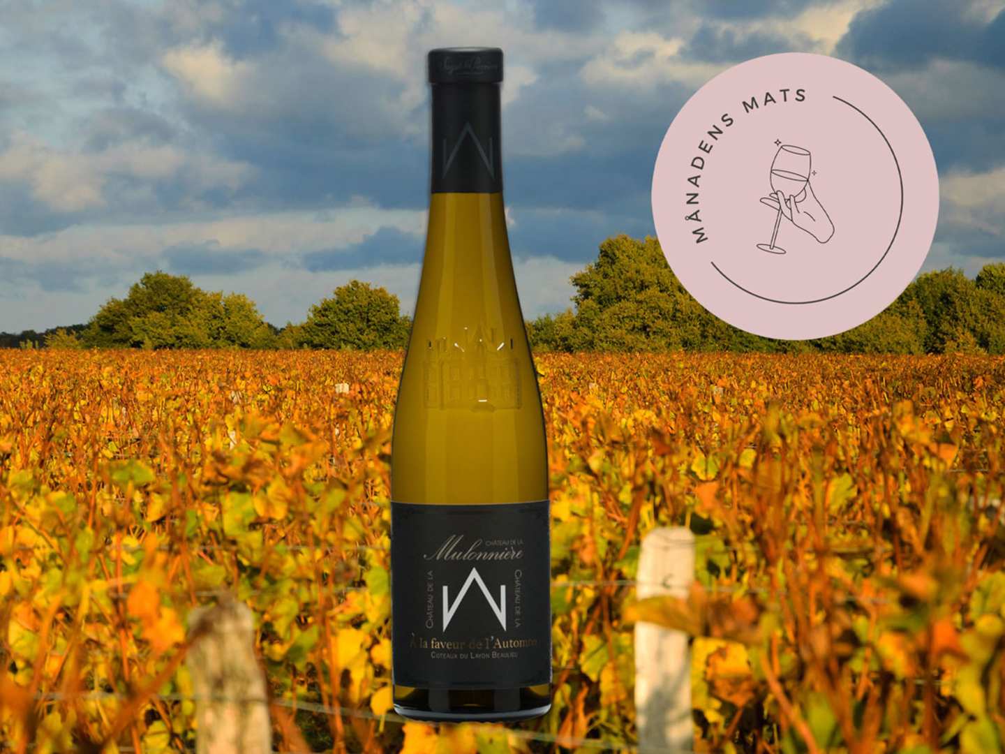 Månadens Mats i november 2023.