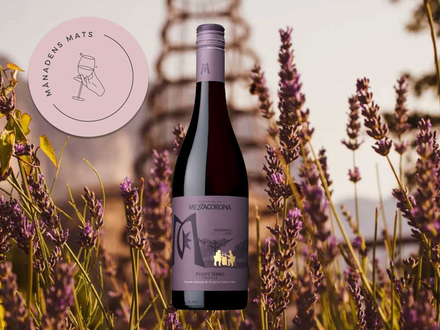 Mezzacorona Pinot Nero, månadens Mats i februari 2024.