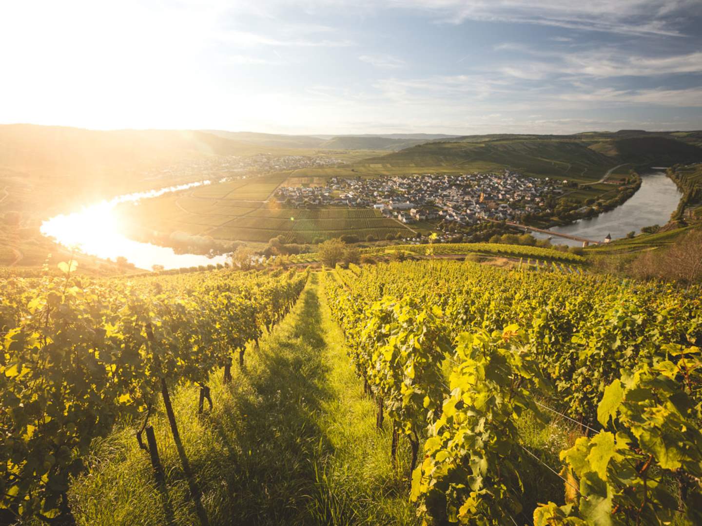Moseldalen med sina vinodlingar.