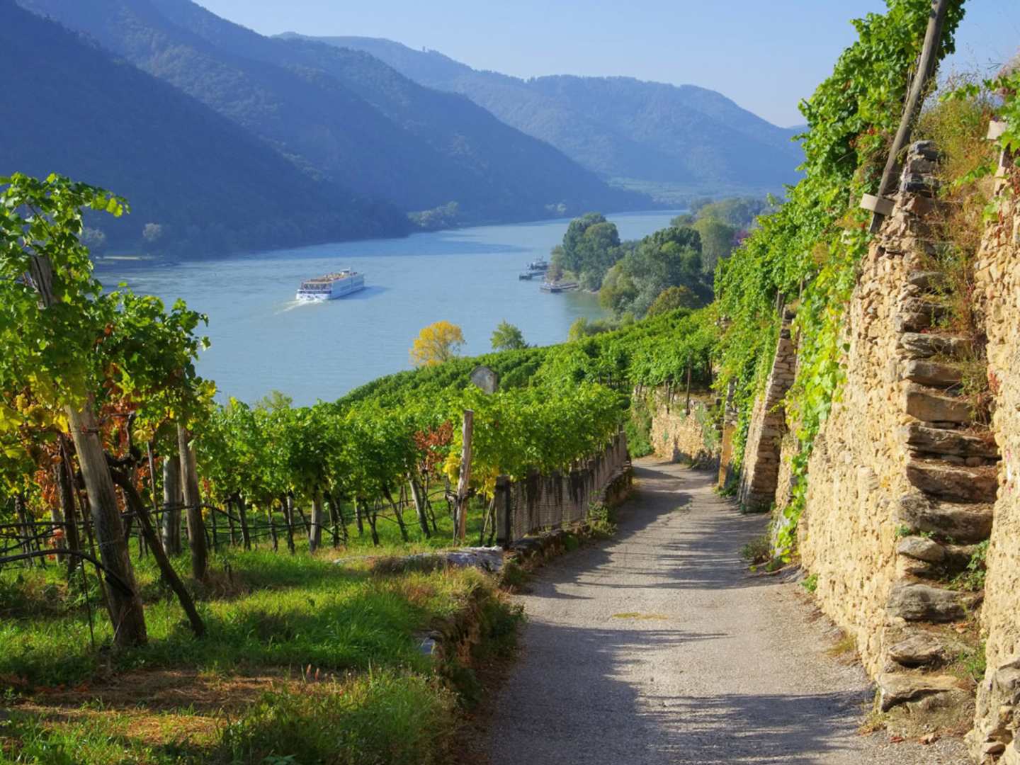 Wachau i Niederösterreich.
