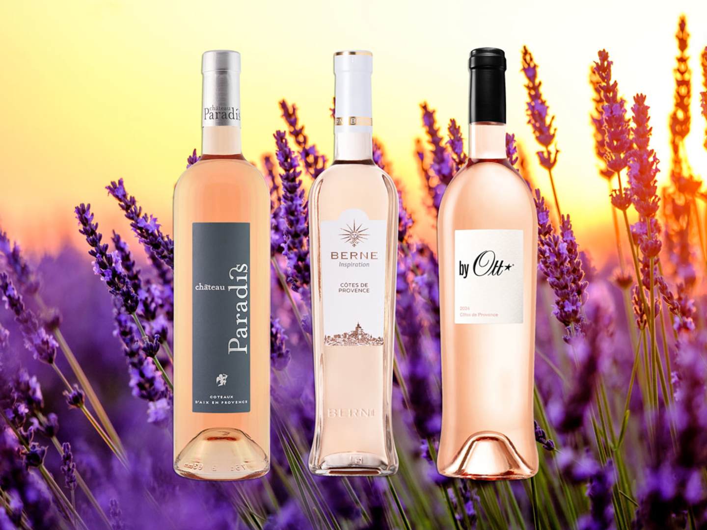 Roséviner från Provence.