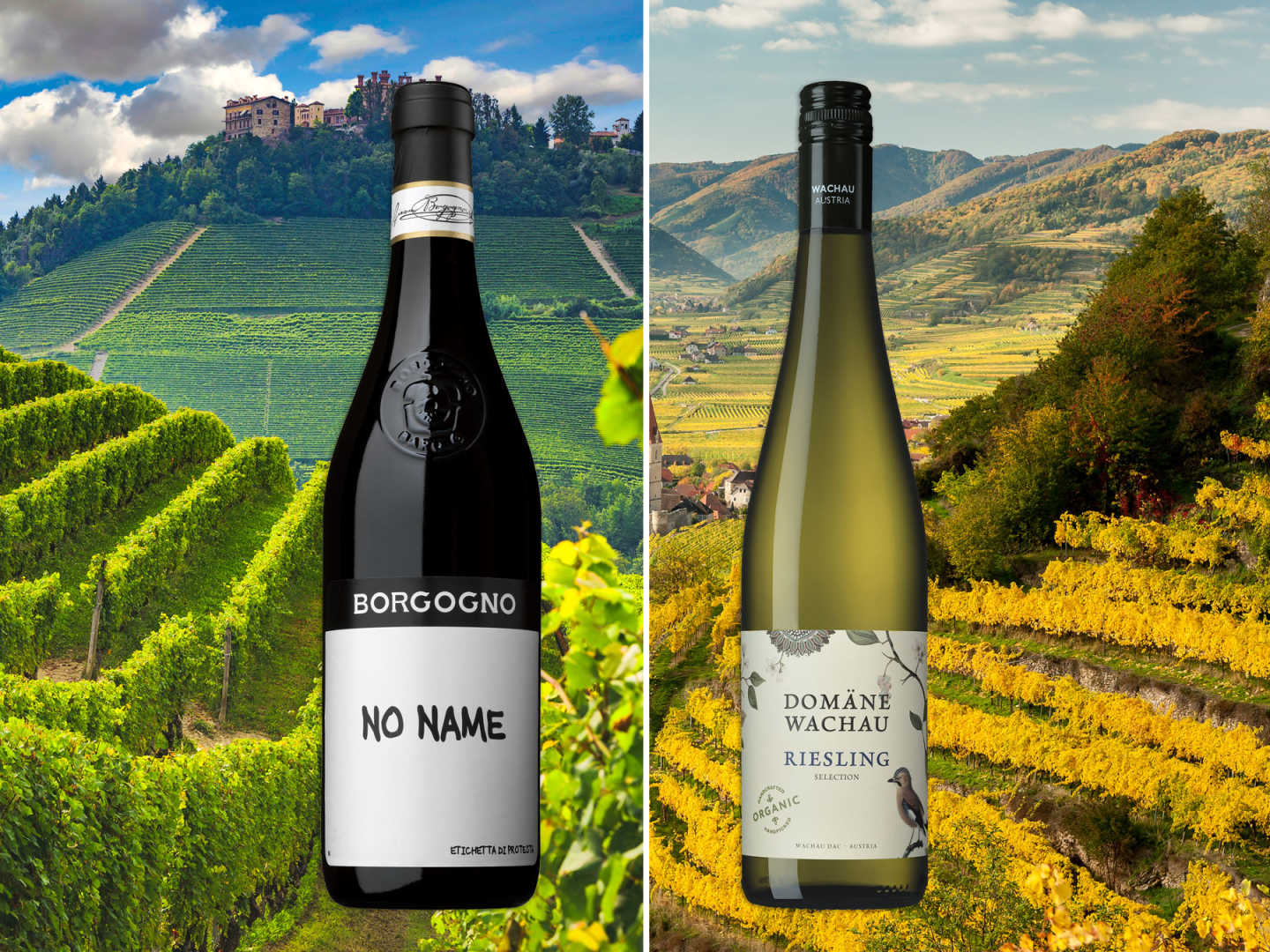 Vinprovning med Borgogno och Domäne Wachau.