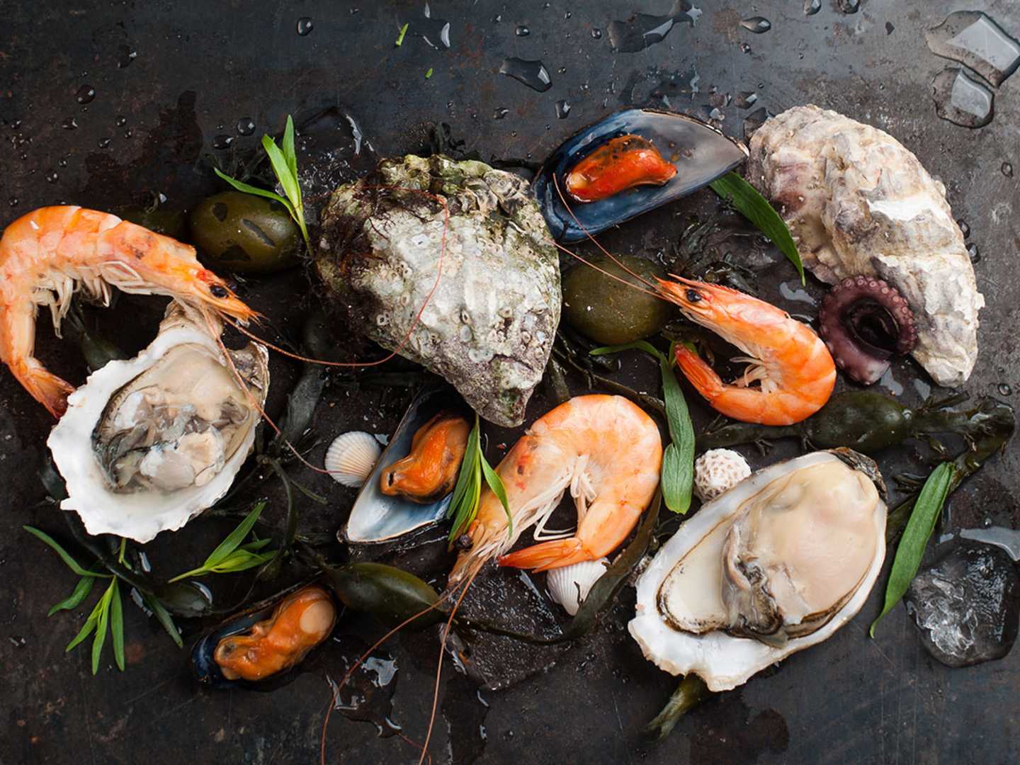 Räkor, musslor och ostron som alla smakar umami