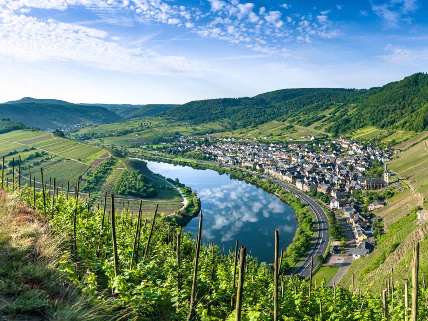 Rheinhessen i Tyskland.