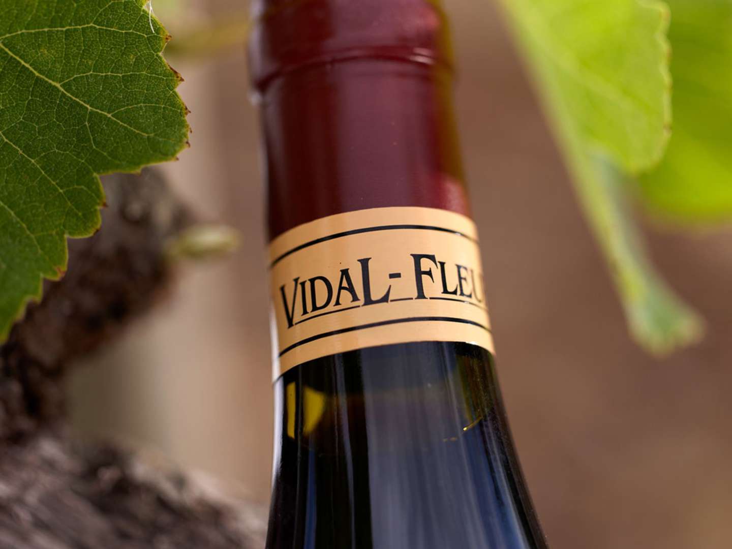 Vin från Rhônedalen.