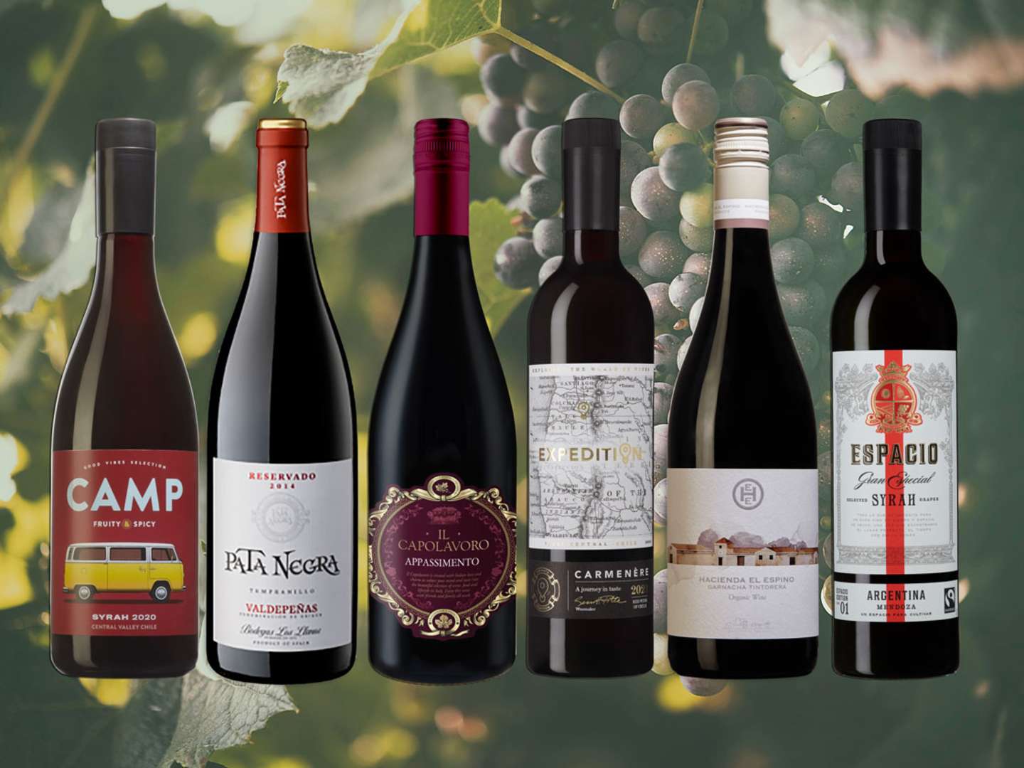 6 bästa röda vinerna under 100 kronor.