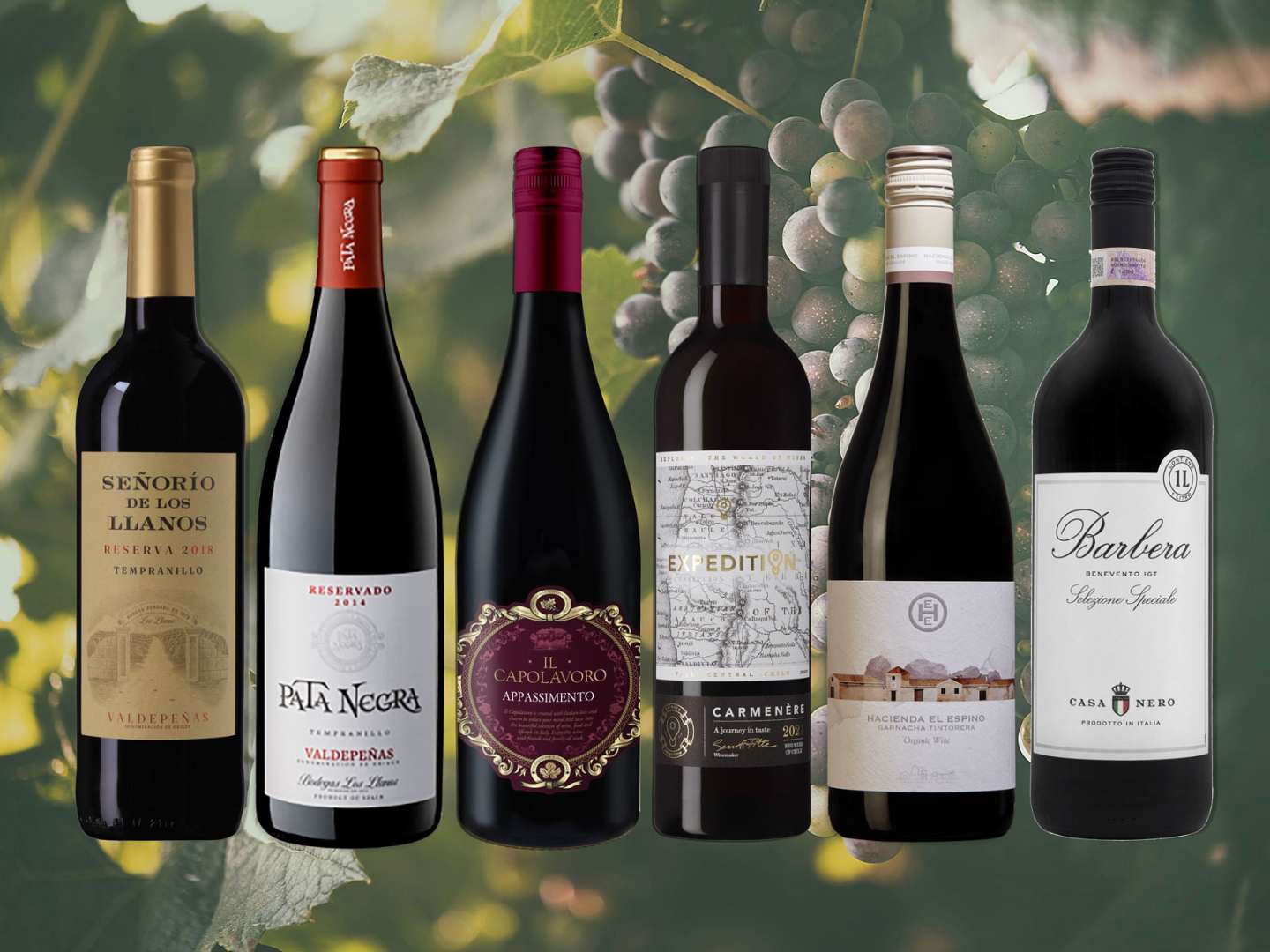 6 bästa röda vinerna under 100 kronor.