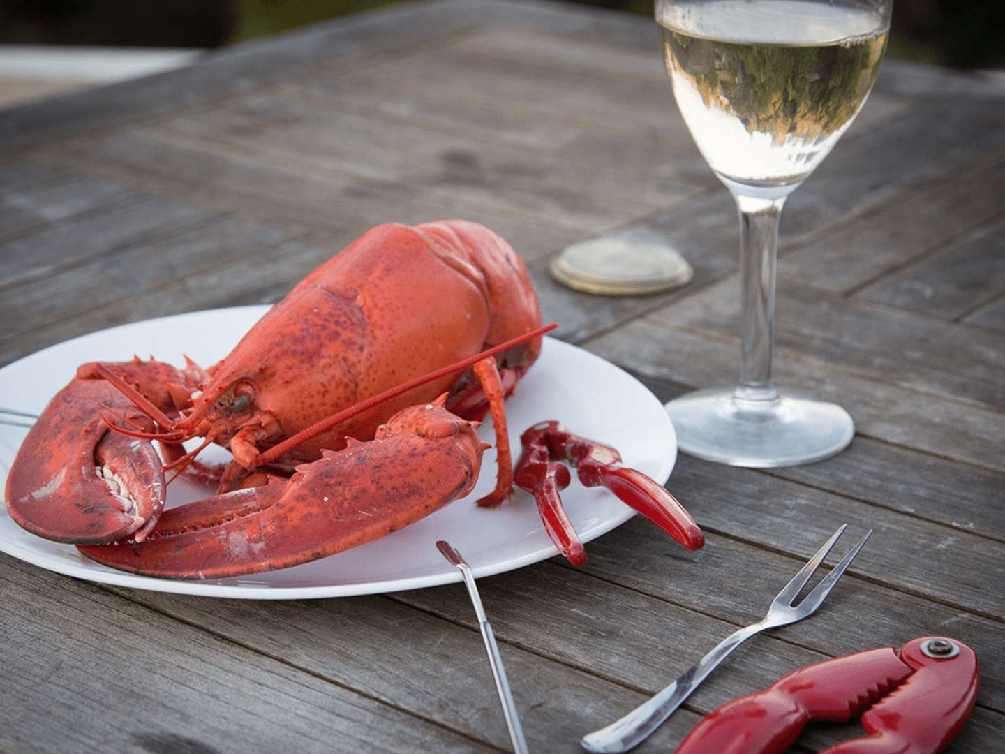 Välja vin till naturell hummer