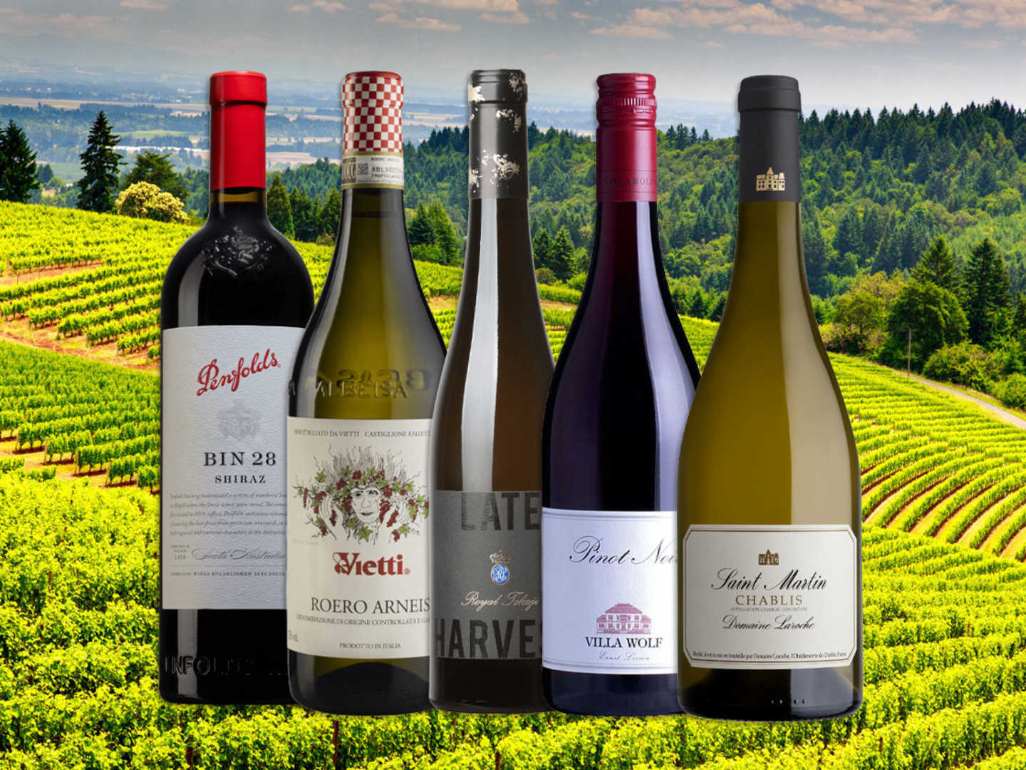5 av världens bästa vinerier.