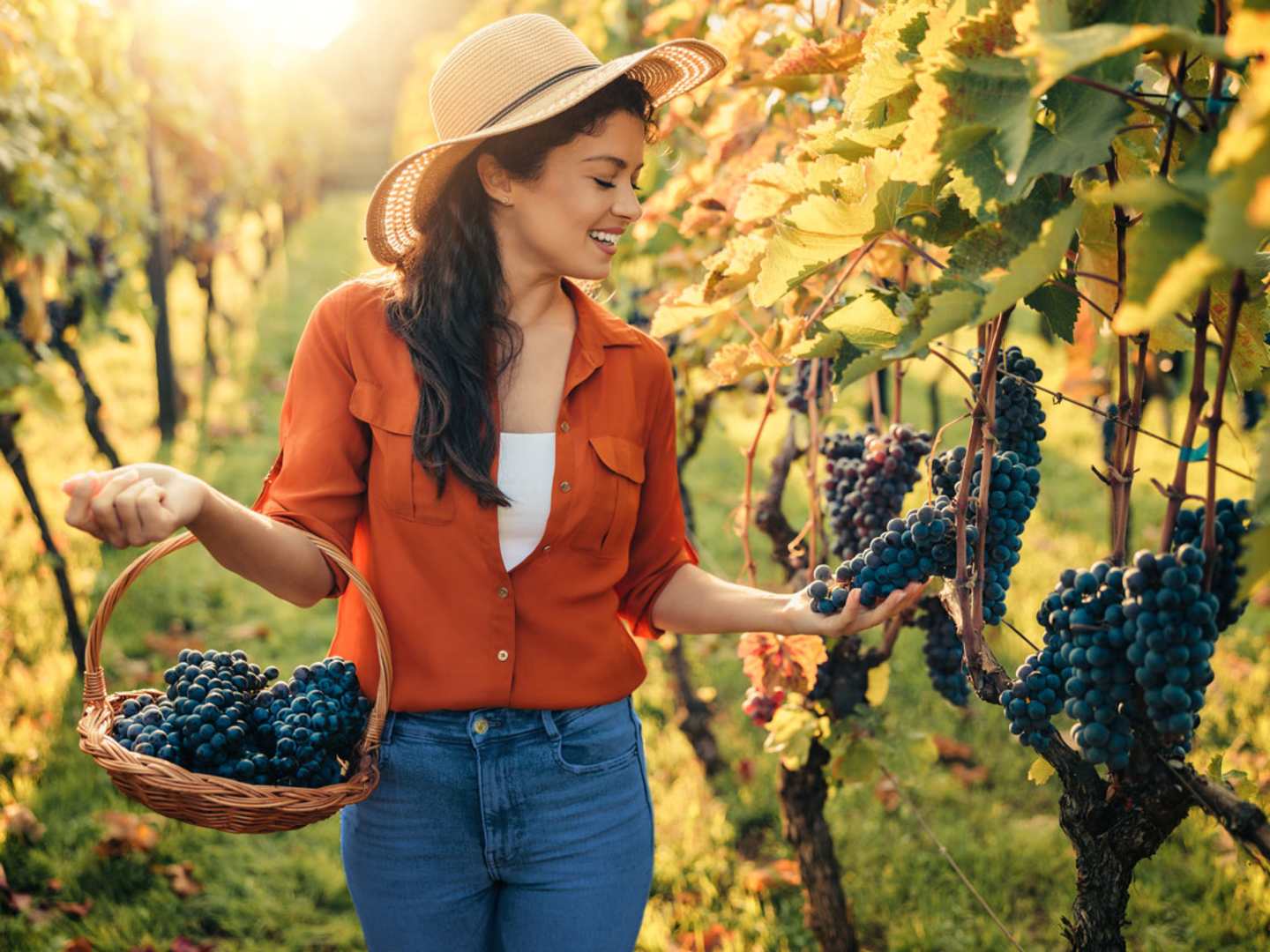 Besök en vingård på vinterresan.