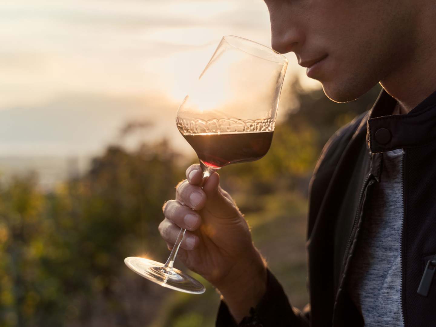 Man som doftar på vin i ett vinglas på en vingård.
