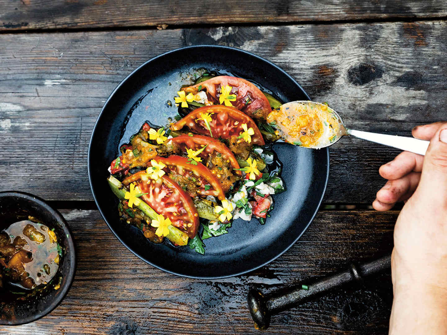 Ceviche på gös, råa tomater och salsa på grillade tomater