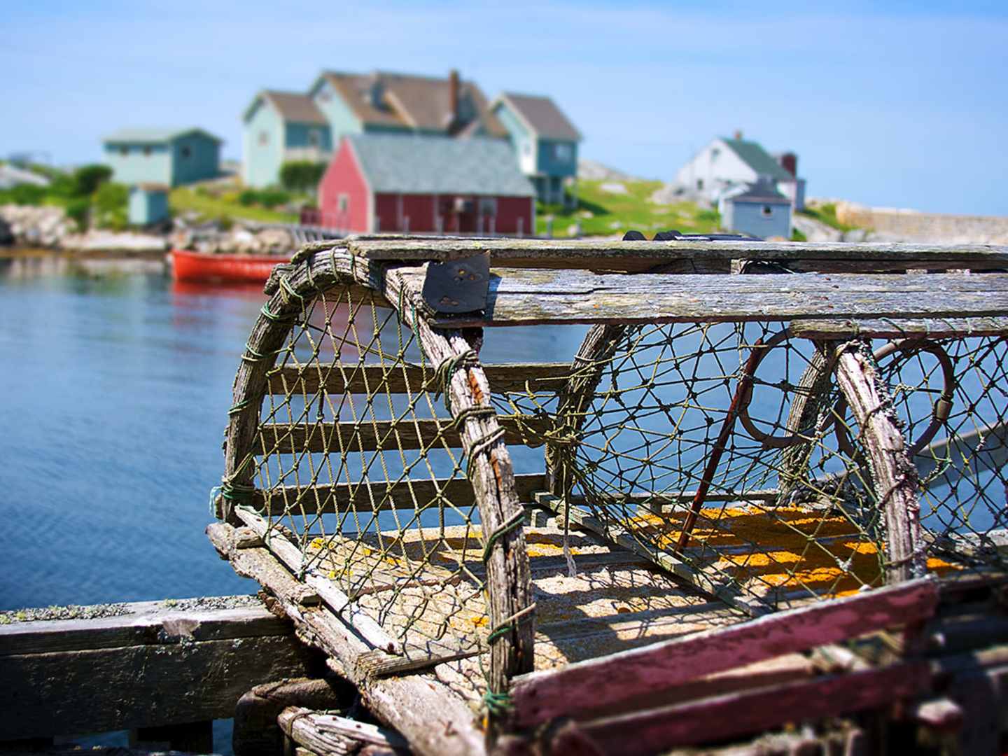 Fiska hummer på Västkusten