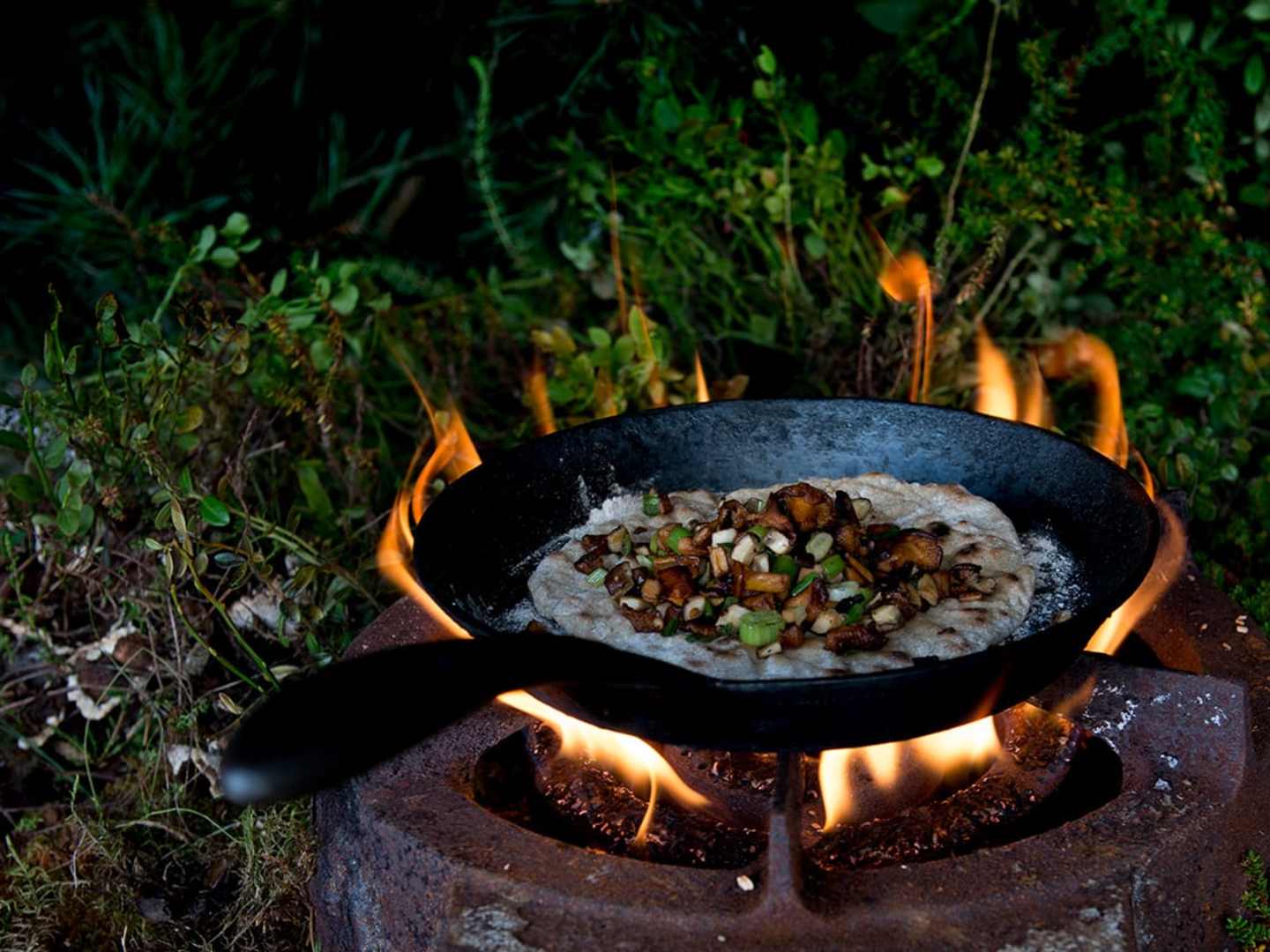 Glödkaka med enbär och svamp