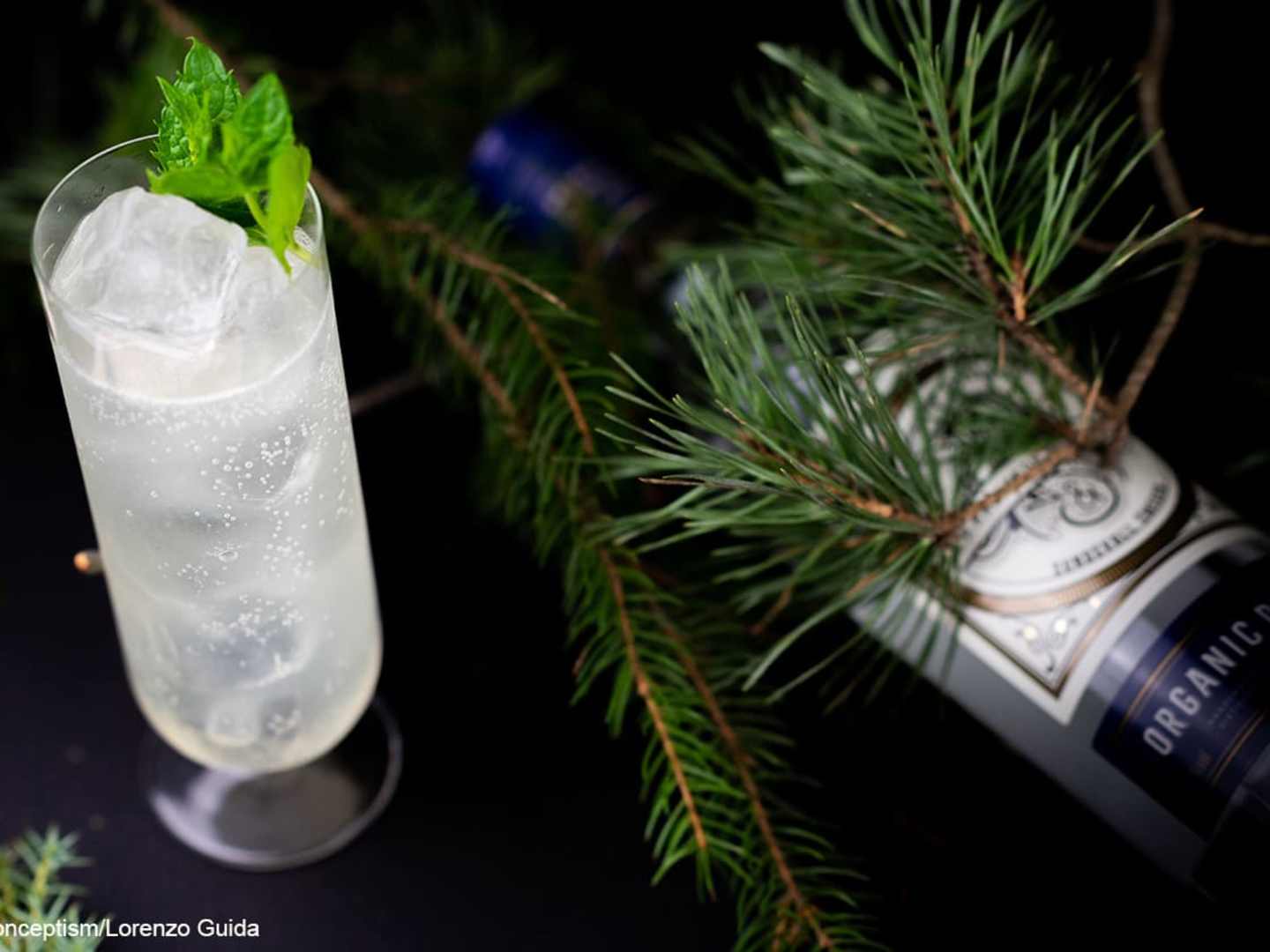 Gin Gin Mule med flaska och enbär