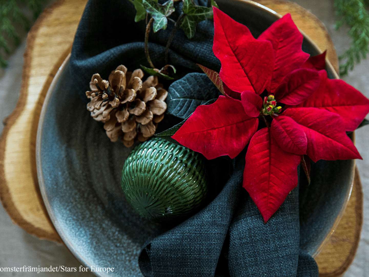 Julpynta med julstjärnor och andra blommor